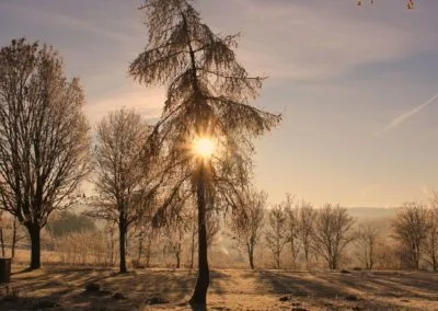 Photo - Concours photo 2019 - Ensemble des images