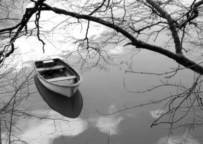 Photo - Concours photo 2019 - Ensemble des images