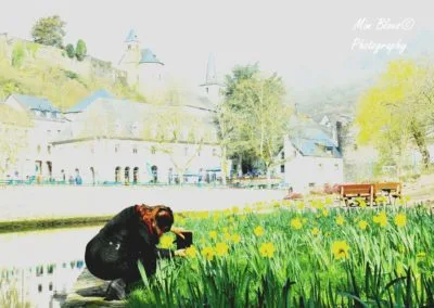 Photo - Concours photo 2019 - Ensemble des images