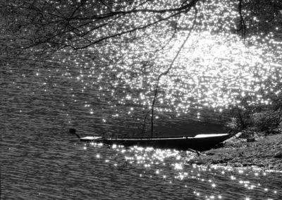Photo - Concours photo 2019 - Ensemble des images