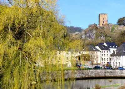 Photo - Concours photo 2019 - Ensemble des images