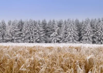 Photo - Concours photo 2019 - Ensemble des images
