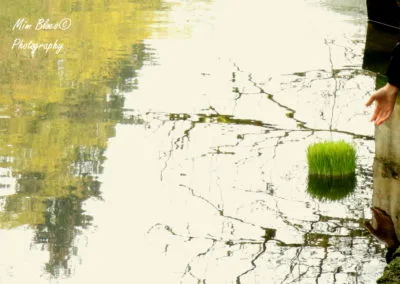 Photo - Concours photo 2019 - Ensemble des images