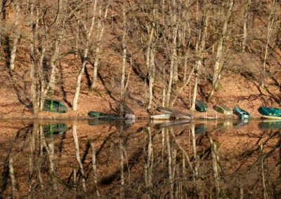 Photo - Concours photo 2019 - Ensemble des images