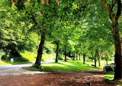 Photo - Concours photo 2019 - Ensemble des images
