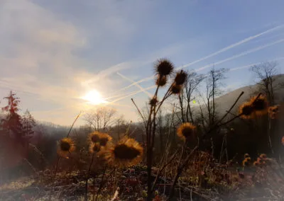 Photo - Photos de notre commune