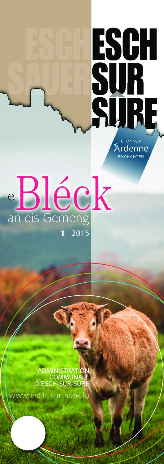 Bléck N°1-2015