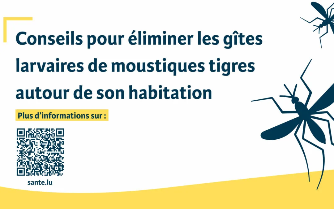 Communication pour sensibiliser aux moustiques tigres